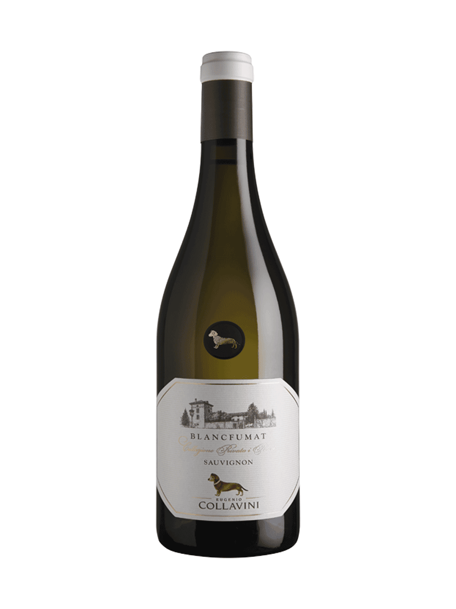 sauvignon collavini