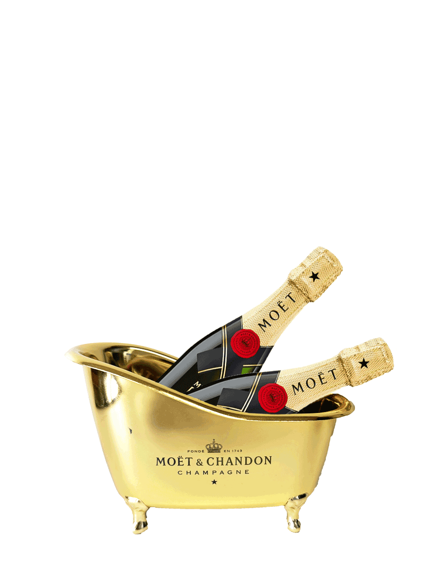Mini-moet-gift